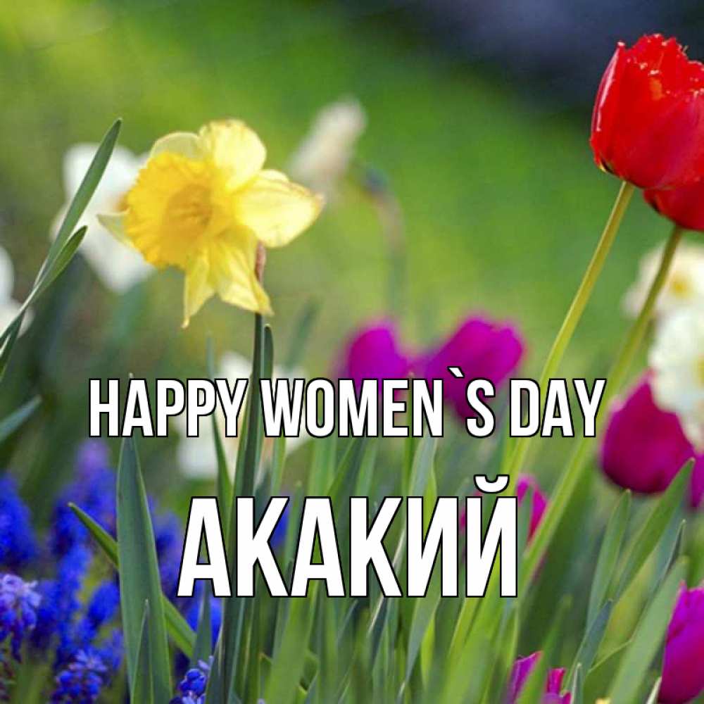 Greetings card с именем, Акакий happy women`s day международный женский день 3 Greetings with text for free download 